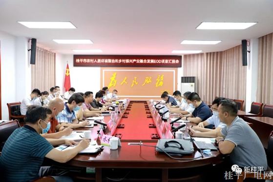 黃德佳會見廣西國宏智鴻環(huán)保集團董事長周雪峰一行
