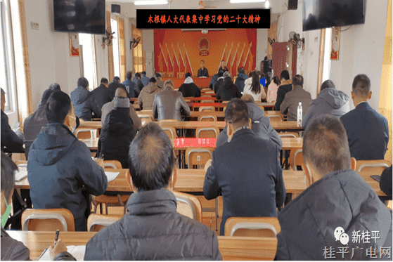 木根鎮(zhèn)人大代表集中學(xué)習黨的二十大精神