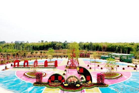 百花齊放迎新春,！桂平市首屆迎春花展開園啦,！
