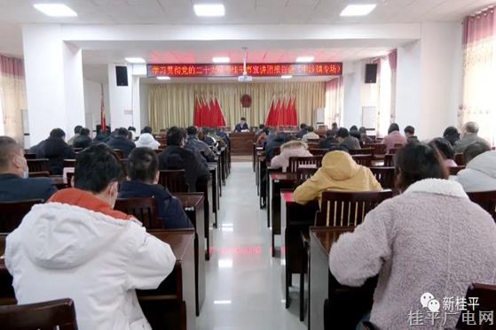 學(xué)習貫徹黨的二十大精神桂平市宣講團報告會（中沙鎮(zhèn)專場）開講