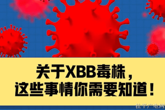 關(guān)于XBB毒株,，這些事情你需要知道,！