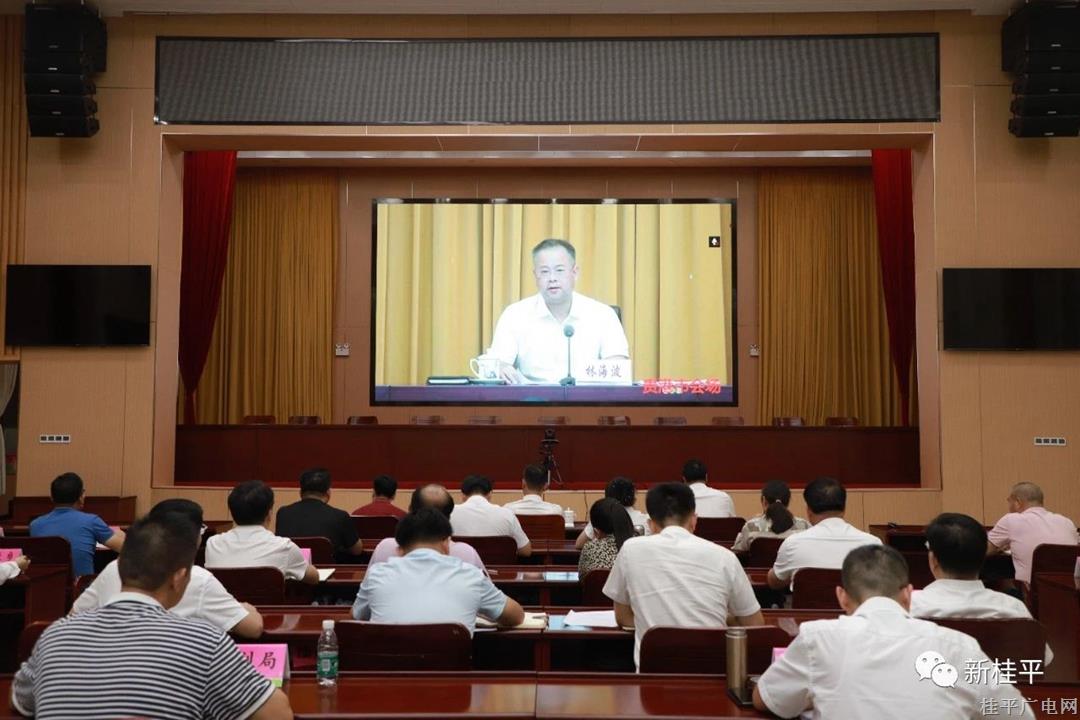 桂平市組織收聽(tīng)收看貴港市學(xué)思想拼經(jīng)濟(jì)穩(wěn)增長(zhǎng)惠民生“六個(gè)攻堅(jiān)行動(dòng)”工作推進(jìn)電視電話會(huì)