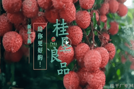 最佳人氣6.《桂墾良品 食安天下 荔枝篇》