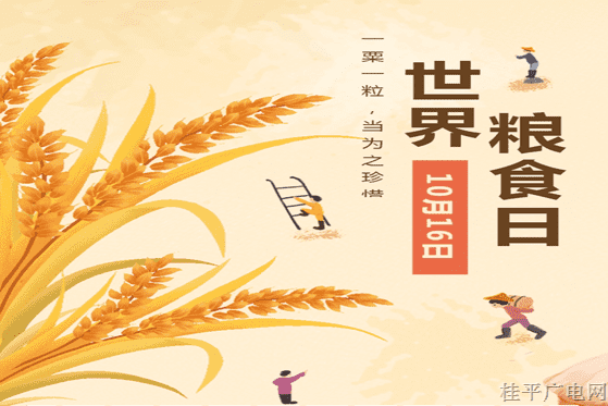 世界糧食日：誰知盤中餐,，粒粒皆辛苦