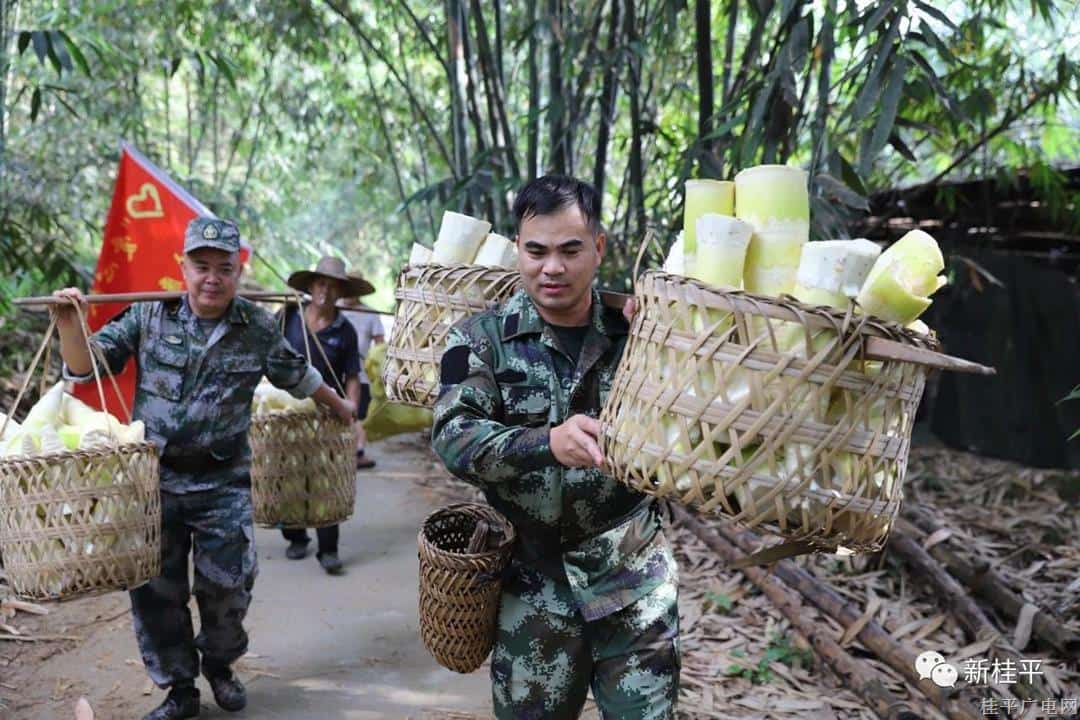 【新時(shí)代文明實(shí)踐】紫荊鎮(zhèn)“愛心獻(xiàn)功臣”志愿服務(wù)隊(duì)為退役老兵、軍人家屬排憂解難