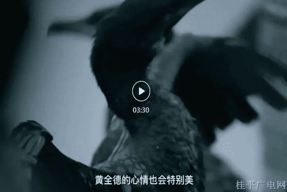 43.《興坪網(wǎng)紅黃全德：你若夸贊漓江美 我的心里跟著
