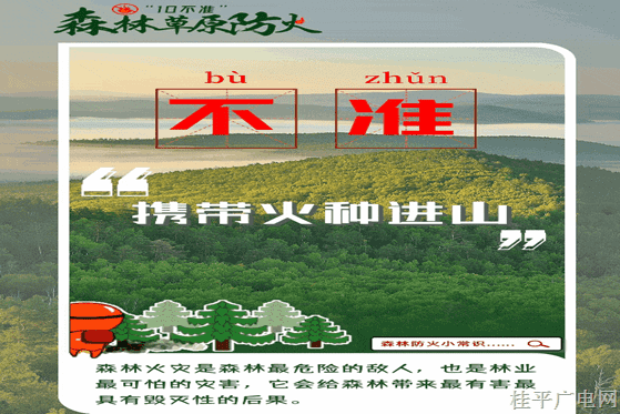 森林防火“十不準(zhǔn)”請牢記,！