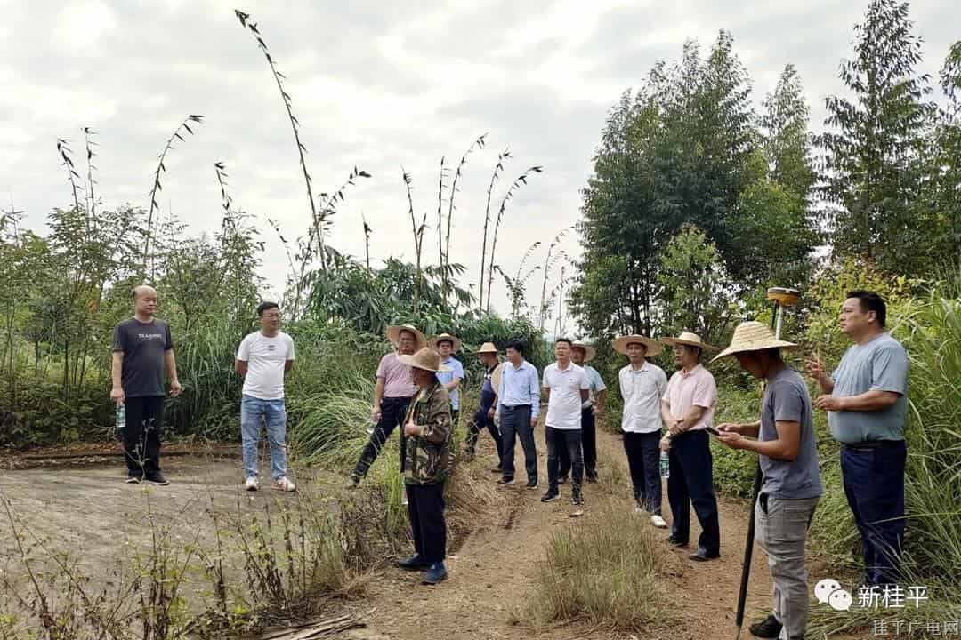 【爭創(chuàng)“模范機關”曬曬看（第三季）】市征收中心：黨建引領征地拆遷 為項目建設提供保障