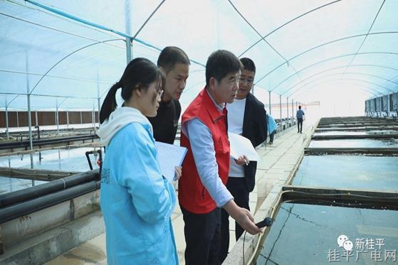 桂平小龍蝦入住“空調(diào)房” 反季培育爭搶市場紅利