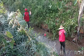 【新時代文明實(shí)踐】羅播鄉(xiāng)開展巡河護(hù)河志愿服務(wù)活動