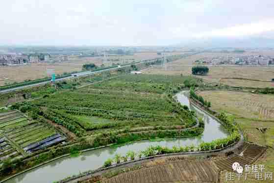 桂平市石龍鎮(zhèn)：立體生態(tài)種養(yǎng)實現(xiàn)綠色效益雙贏
