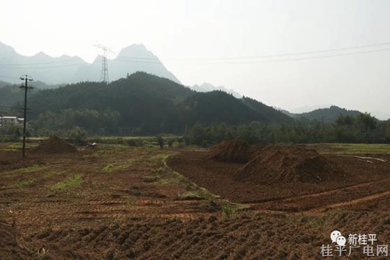 紫荊鎮(zhèn)土地綜合整治項目開工建設(shè) 660余畝旱地提質(zhì)改造為水田