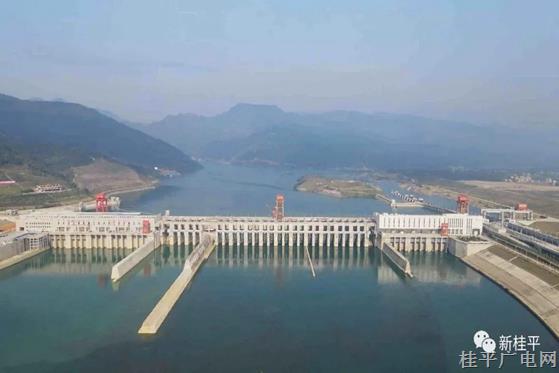 桂平：聚焦聚力項目建設(shè) 持續(xù)增強(qiáng)發(fā)展動能