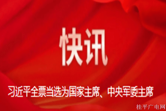 習(xí)近平全票當(dāng)選為國家主席,、中央軍委主席