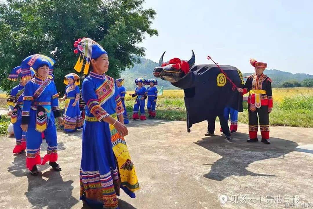 桂平三月三“鬧春?！泵袼孜幕糜喂?jié),！全網(wǎng)尋“牛”人,，放福利大招：集贊領(lǐng)免費(fèi)門票！西山,、龍?zhí)豆珗@,、西山泉等多個景點(diǎn)門票等你來拿！