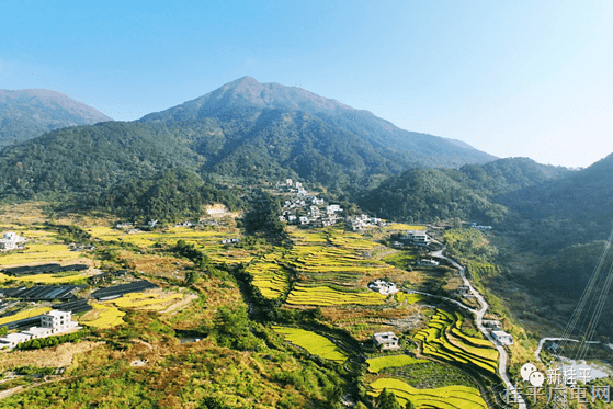 生態(tài)旅游促發(fā)展 佛荔村的美麗蛻變
