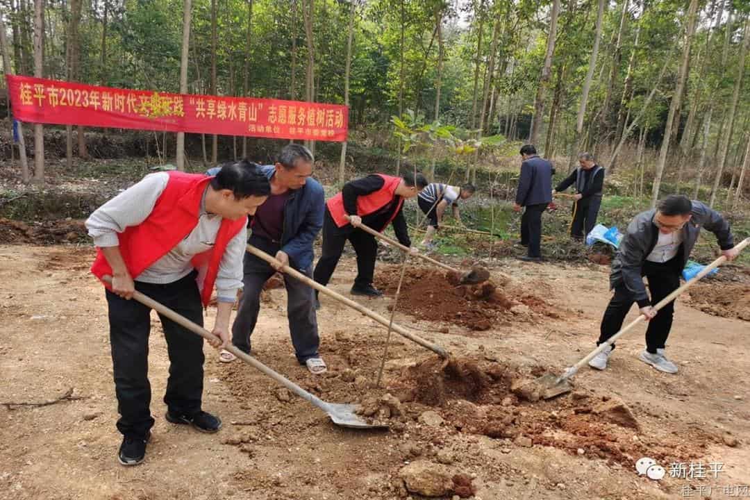 【作風提升】桂平市委黨校著力提升干部作風推動工作提質(zhì)增效