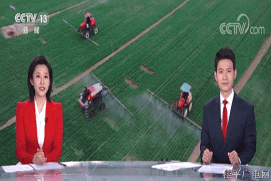 今天，央視兩個頻道三個欄目播出《廣西桂平：現(xiàn)代科技助力60萬畝早稻育秧工作》