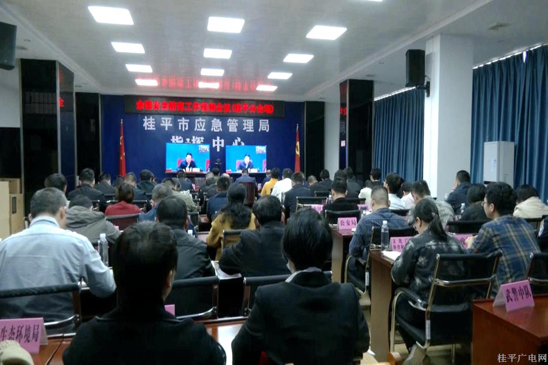 我市組織收聽收看全國安全防范工作視頻會(huì)議