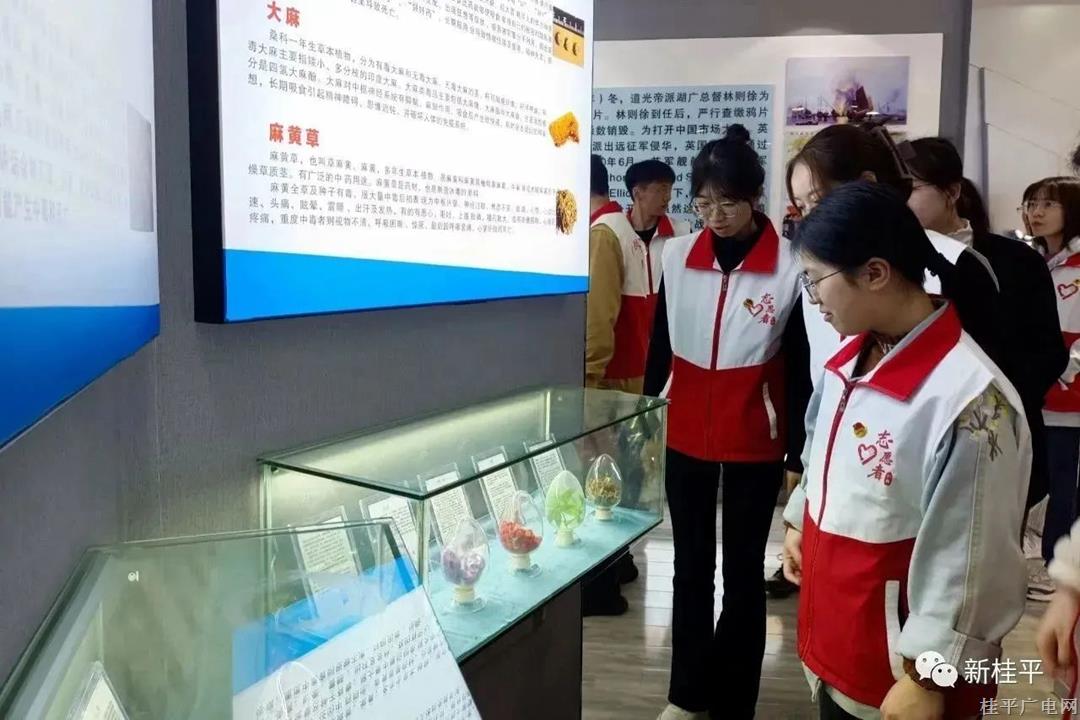 【禁毒宣傳】桂平市組織西部計劃志愿者開展禁毒教育活動