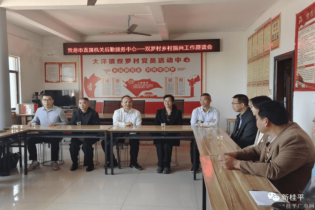 貴港市后勤保障服務中心到桂平市大洋鎮(zhèn)開展鄉(xiāng)村振興工作調研