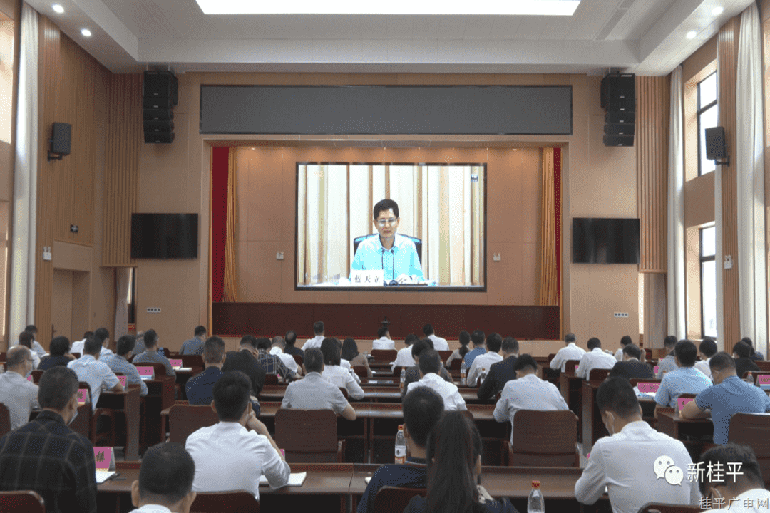 桂平市組織參加全區(qū)第二季度經(jīng)濟運行部署會議