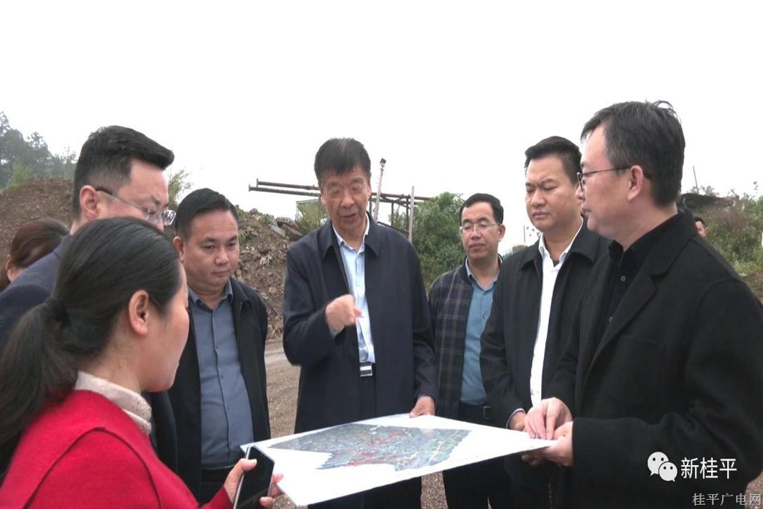 河南心連心化學(xué)工業(yè)集團董事長劉興旭一行到桂平市考察 張景聯(lián)黃德佳陪同