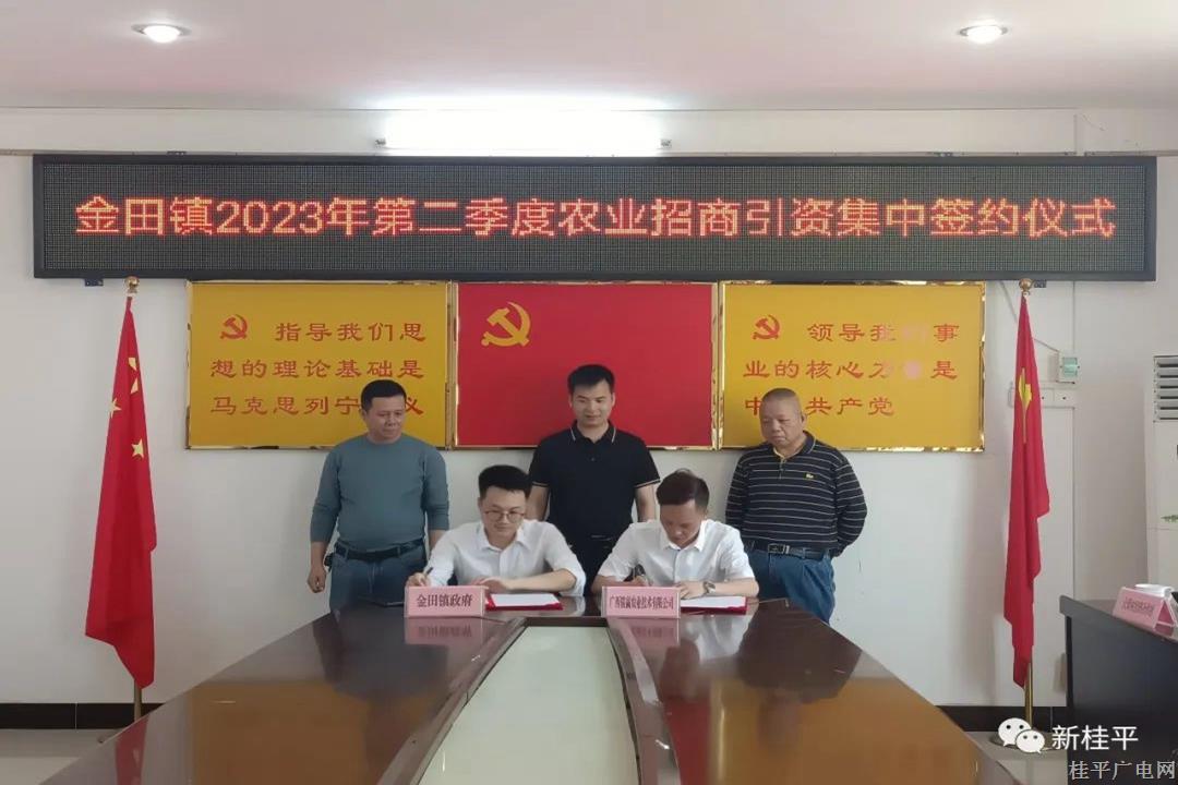金田鎮(zhèn)成功簽約8個(gè)農(nóng)業(yè)招商引資項(xiàng)目 投資總額約2.03億元