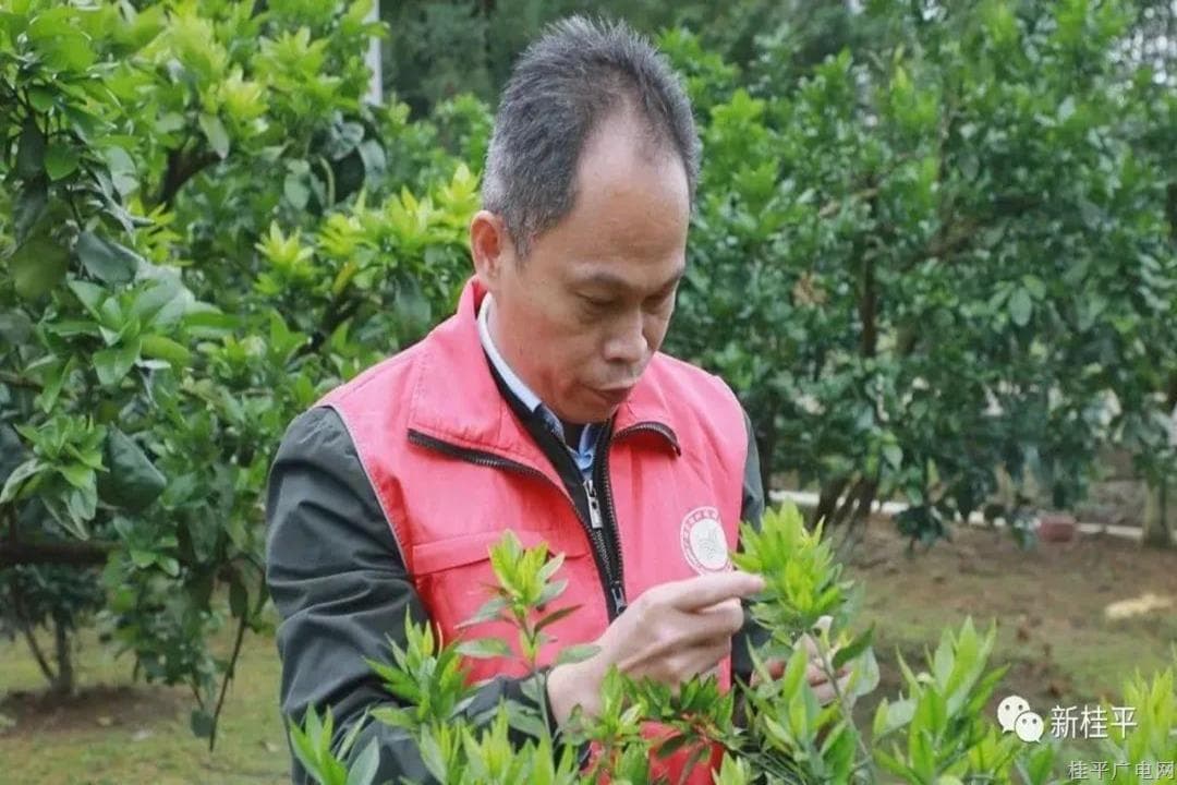 【勞動者之歌】陳健超：深入田間解難題 技術創(chuàng)新助農增收