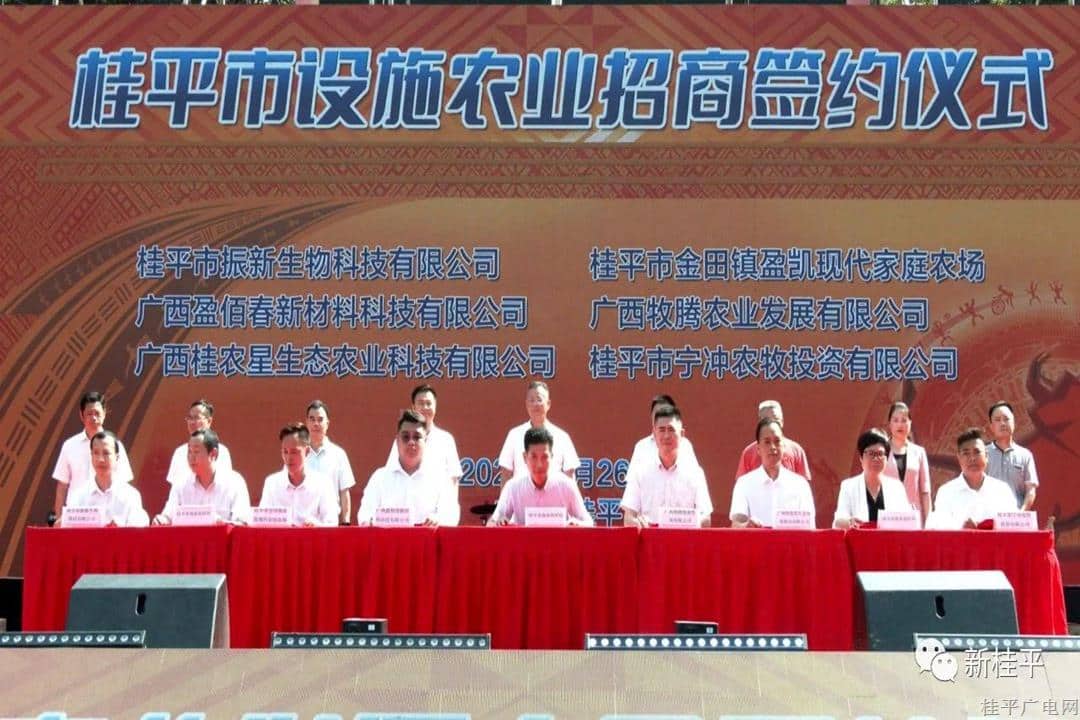 2023年廣西桂平市牛產(chǎn)業(yè)發(fā)展大會暨特色農(nóng)副產(chǎn)品展銷交流會在城區(qū)召開