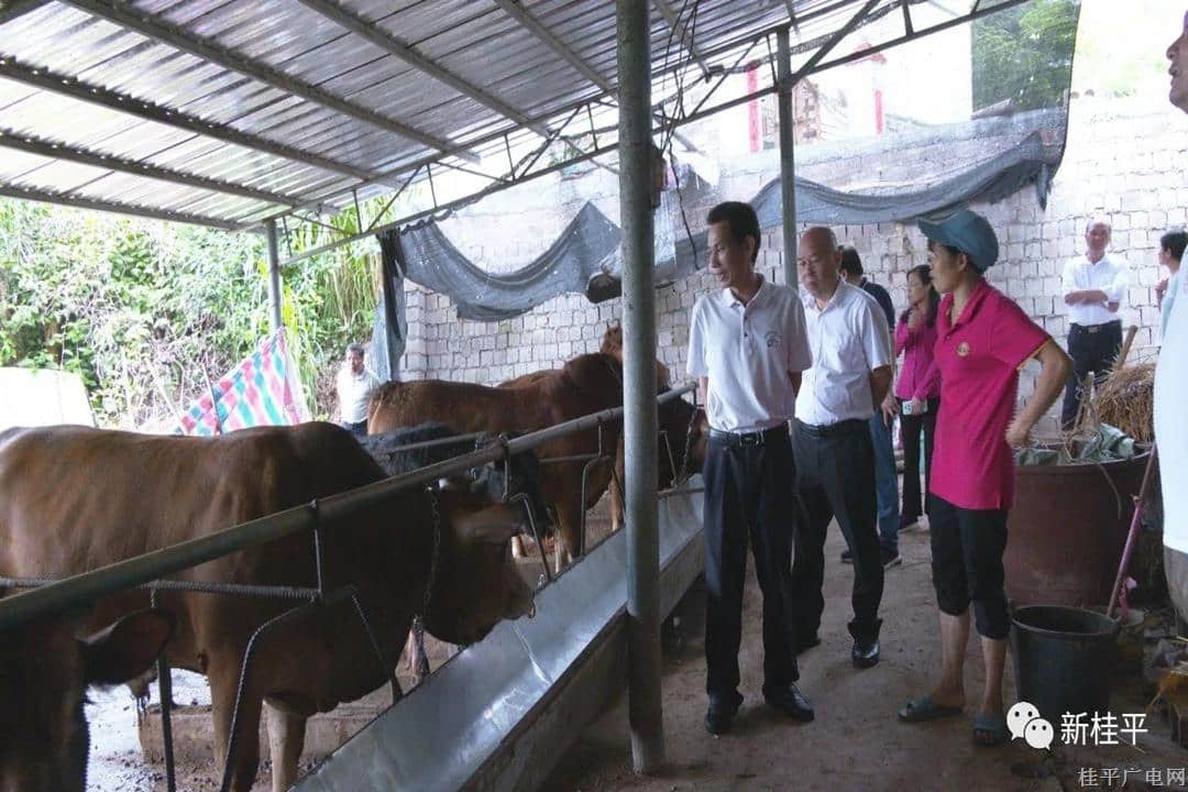 貴港市人大調(diào)研組到我市調(diào)研關(guān)于《貴港市畜禽養(yǎng)殖污染防治條例（草案）》修改稿意見