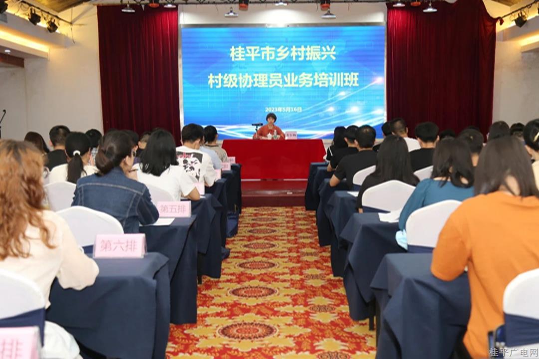 桂平市鄉(xiāng)村振興村級協(xié)理員培訓班正式開班