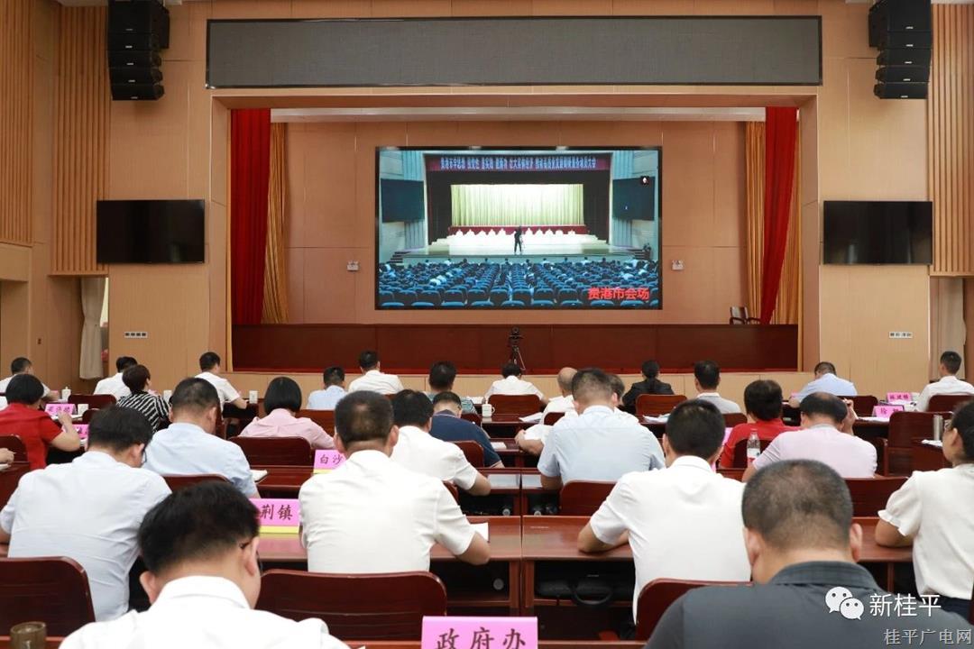 我市召開“學(xué)思想、強(qiáng)黨性,、重實(shí)踐,、建新功,，壯大實(shí)體經(jīng)濟(jì)，推動(dòng)高質(zhì)量發(fā)展”調(diào)研服務(wù)動(dòng)員大會(huì)