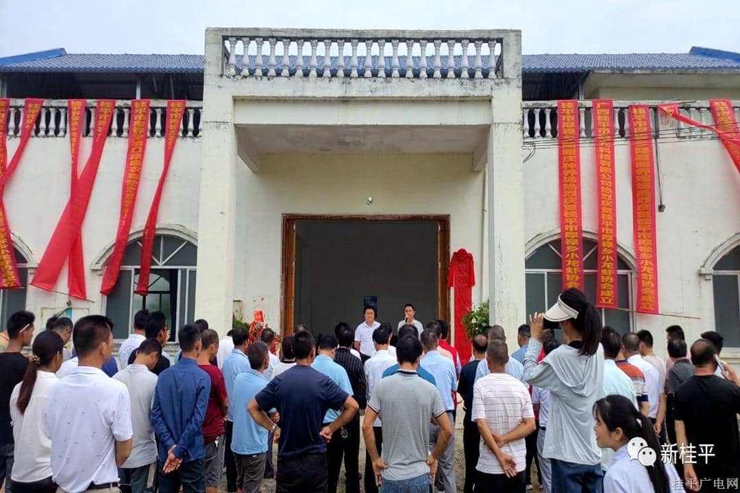 貴港市首個鄉(xiāng)鎮(zhèn)級小龍蝦協(xié)會成立并揭牌
