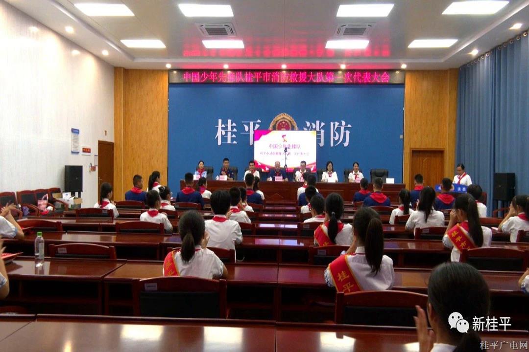 中國少年先鋒隊桂平市消防救援大隊第一次代表大會召開