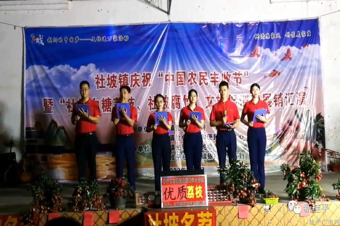社坡鎮(zhèn)舉行慶?！爸袊r(nóng)民豐收節(jié)”暨“社坡白糖荔枝、社坡腐竹”文旅促銷匯演活動