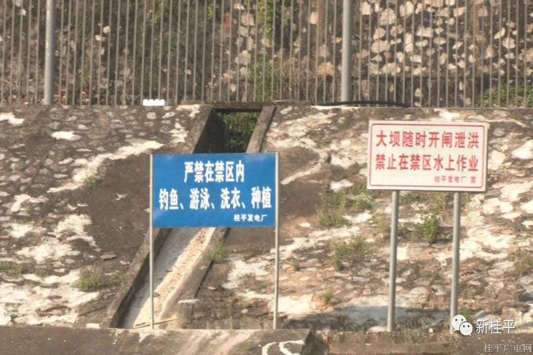 桂平：加強(qiáng)壩區(qū)水域涉漁違法行為查處 為企業(yè)安全生產(chǎn)保駕護(hù)航