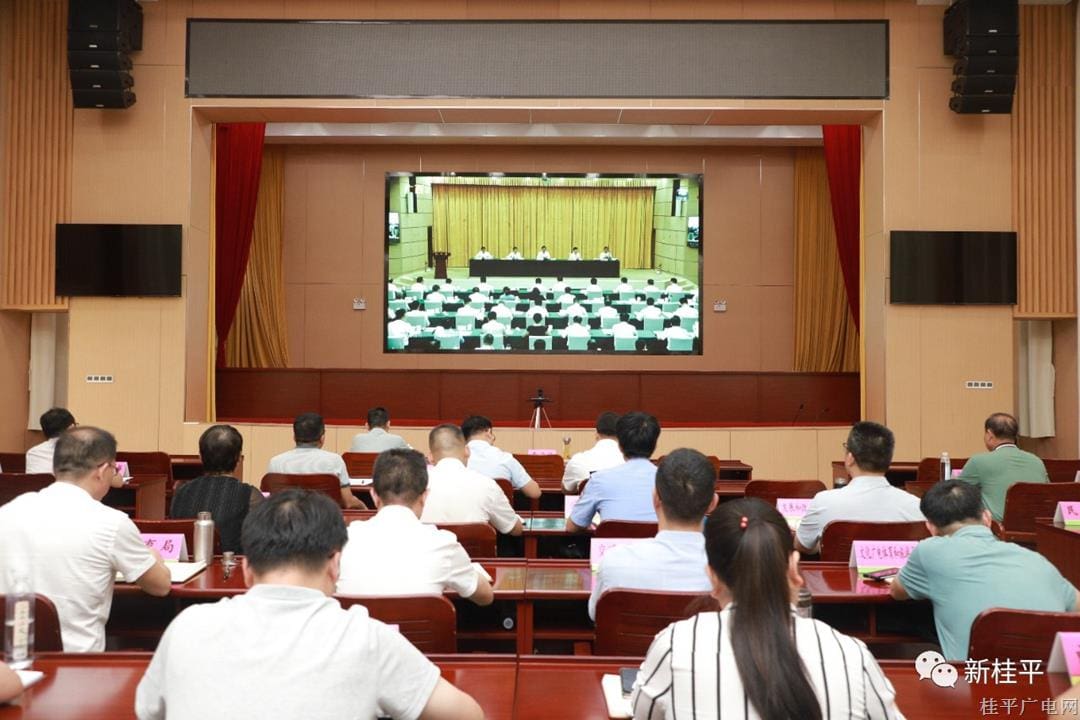 桂平市組織參加2023年自治區(qū)食品安全委員會全體（擴大）電視電話會議
