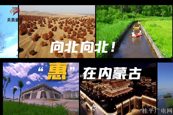 10.《向北向北,！》內(nèi)蒙古廣播電視臺⑥ “惠”在內(nèi)蒙古