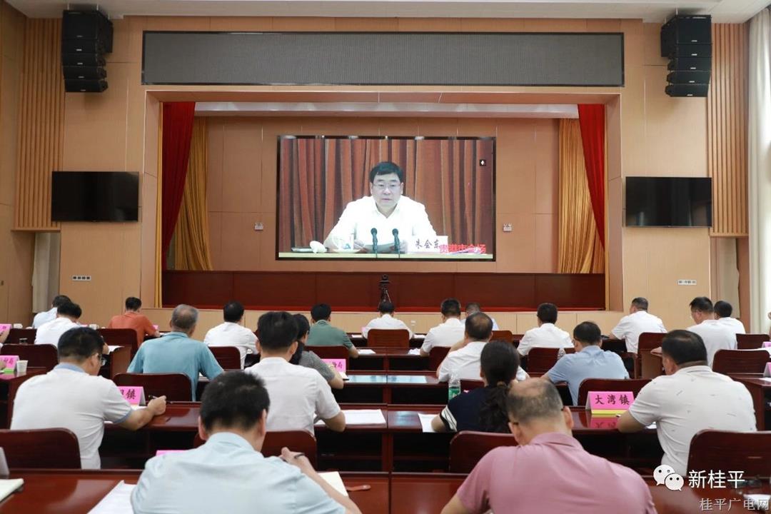 桂平市組織參加貴港市全市提速重大項(xiàng)目建設(shè)擴(kuò)大有效投資電視電話會(huì)議