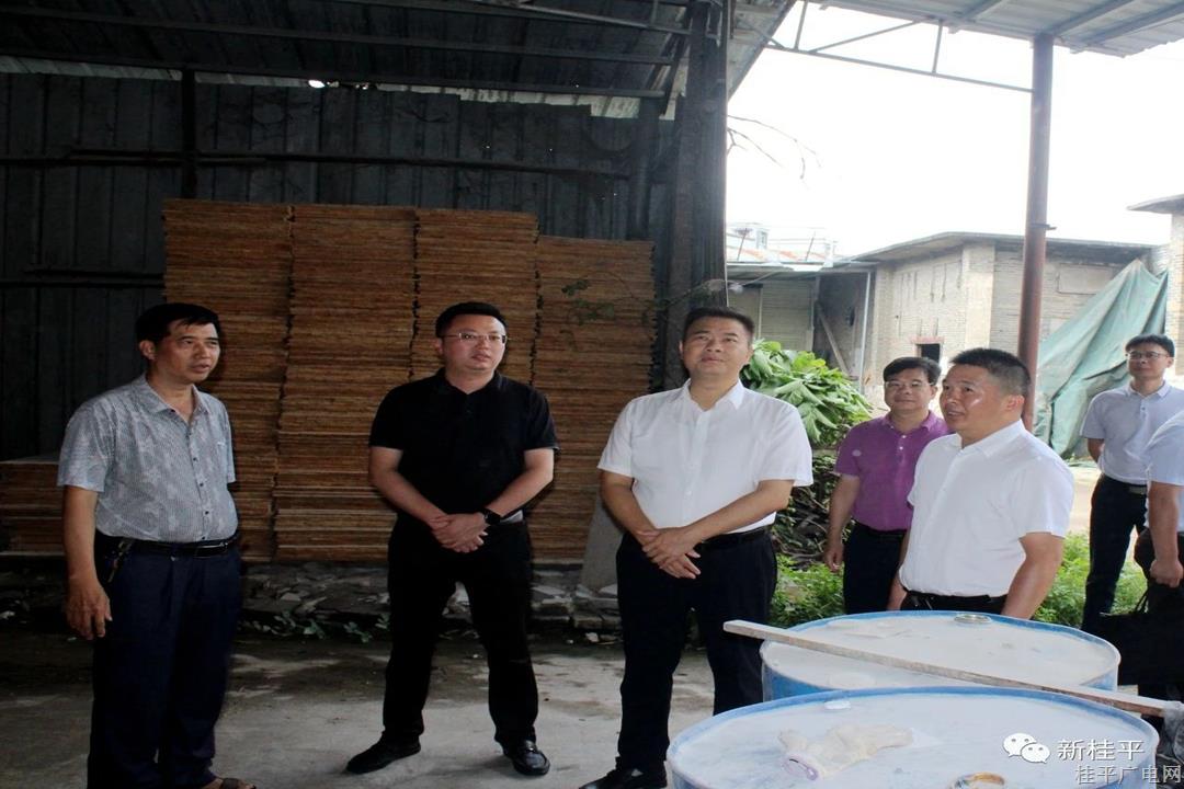 黃德佳率隊到桂平市供銷社開展工作調(diào)研