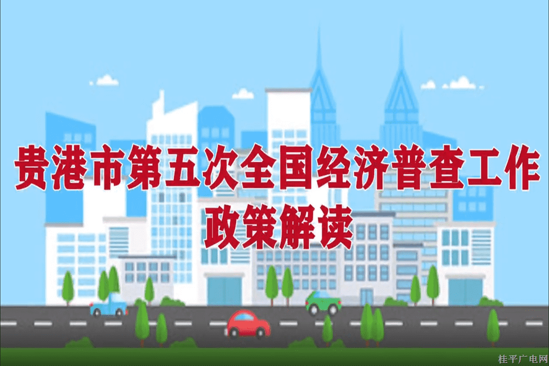 【五經(jīng)普】貴港市第五次全國經(jīng)濟(jì)普查工作政策解讀