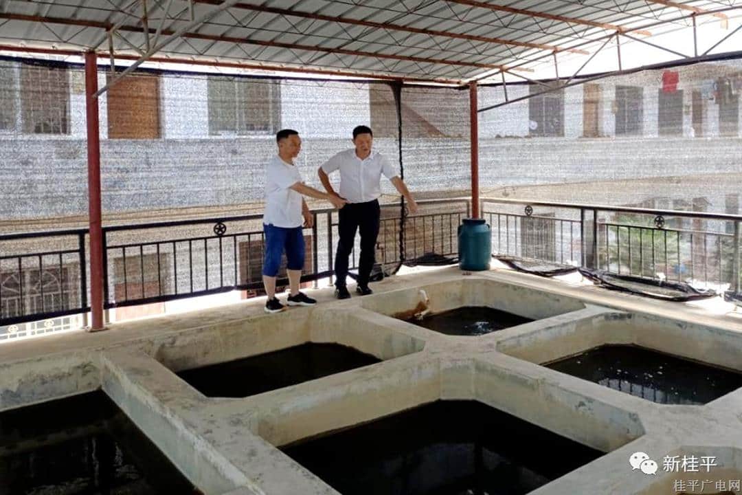 市水利局：強化鄉(xiāng)鎮(zhèn)飲用水安全管理 筑牢農(nóng)村飲水安全堅強防線