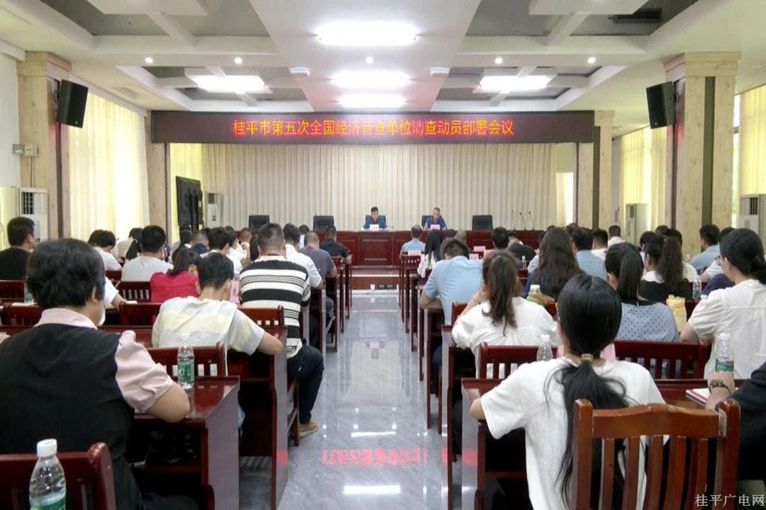 【五經(jīng)普】我市召開第五次全國經(jīng)濟(jì)普查單位清查動員部署會議