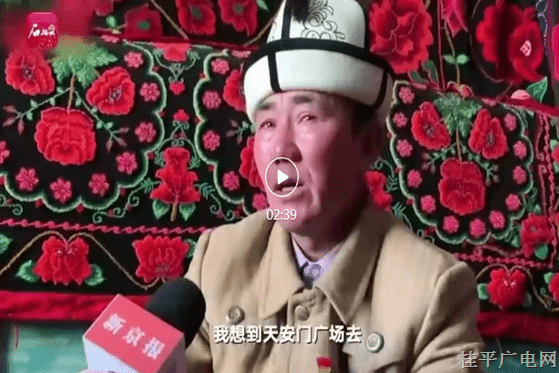 3-04.石榴達人系列