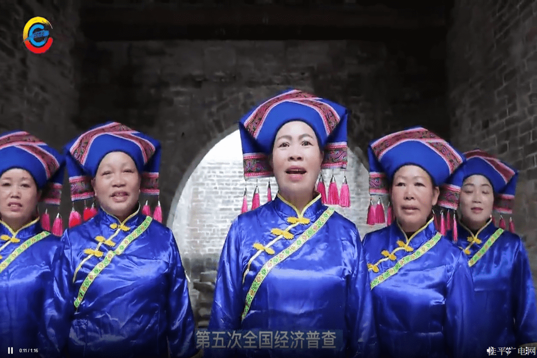  貴港市第五次全國經(jīng)濟(jì)普查宣傳片