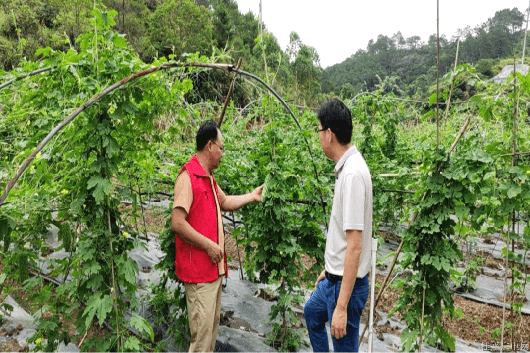 羅播鄉(xiāng)：助農(nóng)銷售解難題 鞏固脫貧促振興