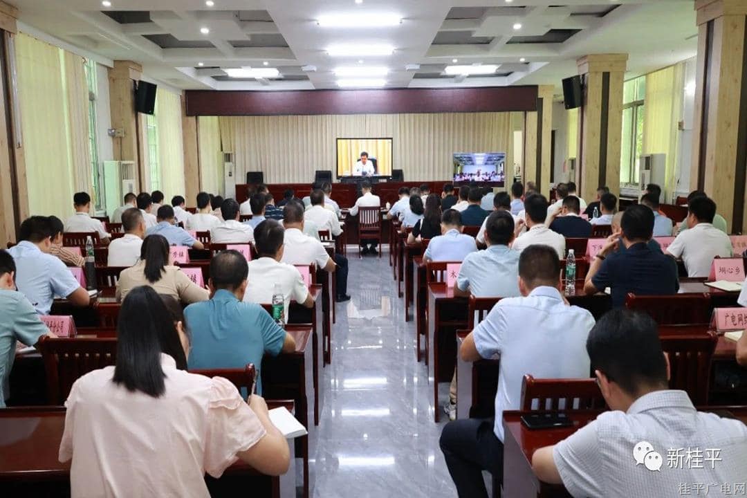 桂平市組織收聽收看全區(qū)學(xué)思想拼經(jīng)濟穩(wěn)增長惠民生“六個攻堅行動”工作推進電視電話會議