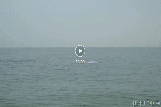 13.《深海回響》