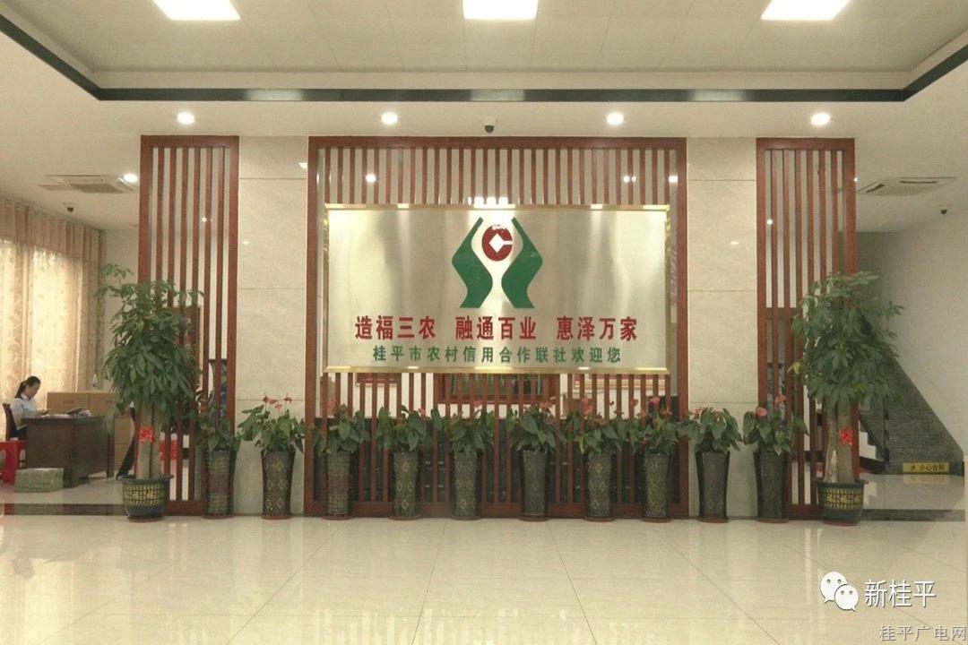 桂平市“桂惠貸”產(chǎn)品累計(jì)投放金額在全區(qū)縣（市）區(qū)率先突破100億元